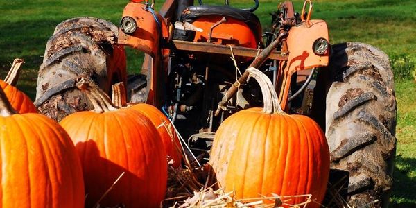 Housing Market Update – October 2023