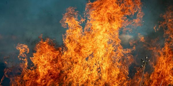 Numerous free resources are available to fire victims …