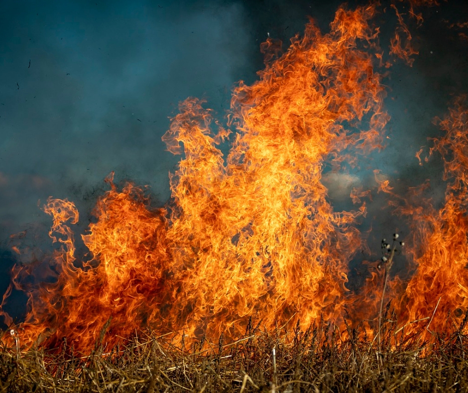 Los-Angeles-wild-fire-free-resources