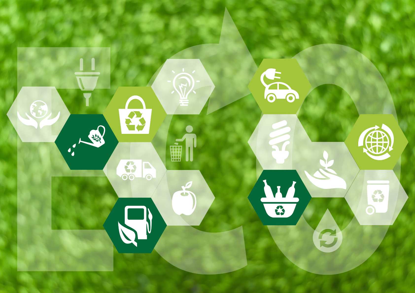 eco-friendly-green-home