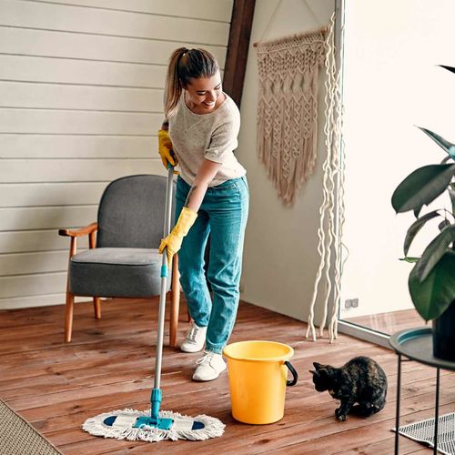 Spring Cleaning Goes Green: Non-Toxic Products & DIY Hacks for a Healthier Home