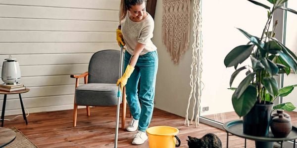 Spring Cleaning Goes Green: Non-Toxic Products & DIY …