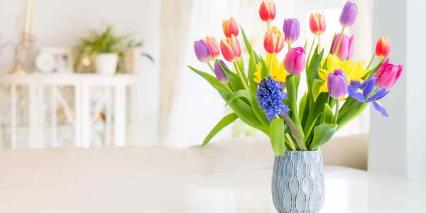Summer Staging Secrets to Make Buyers Fall in …