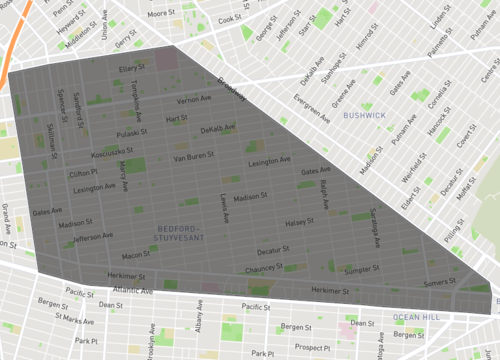 bedford stuyvesant.png
