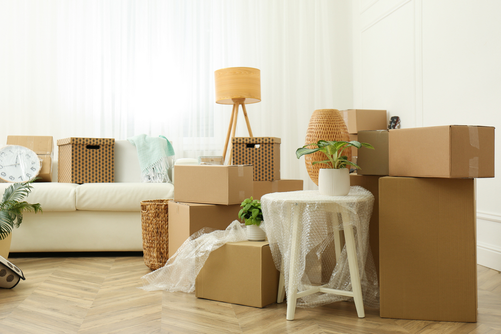 Cardboard,Boxes,,Potted,Plants,And,Household,Stuff,Indoors.,Moving,Day