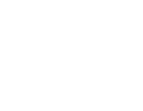 Macdonald Realty