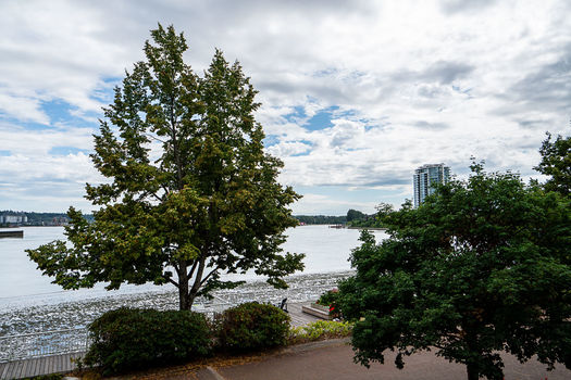 Unit 202 12 K De K Court New Westminster-36