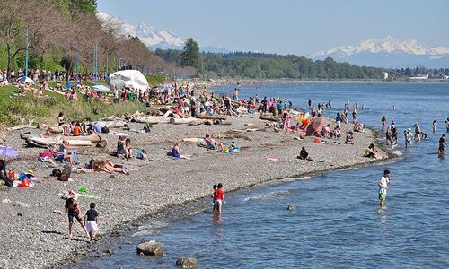 7 Local Beaches in South Surrey and White …