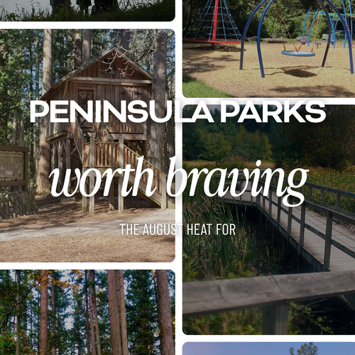 5 South Surrey Parks Worth the Drive for a Summer Family Day