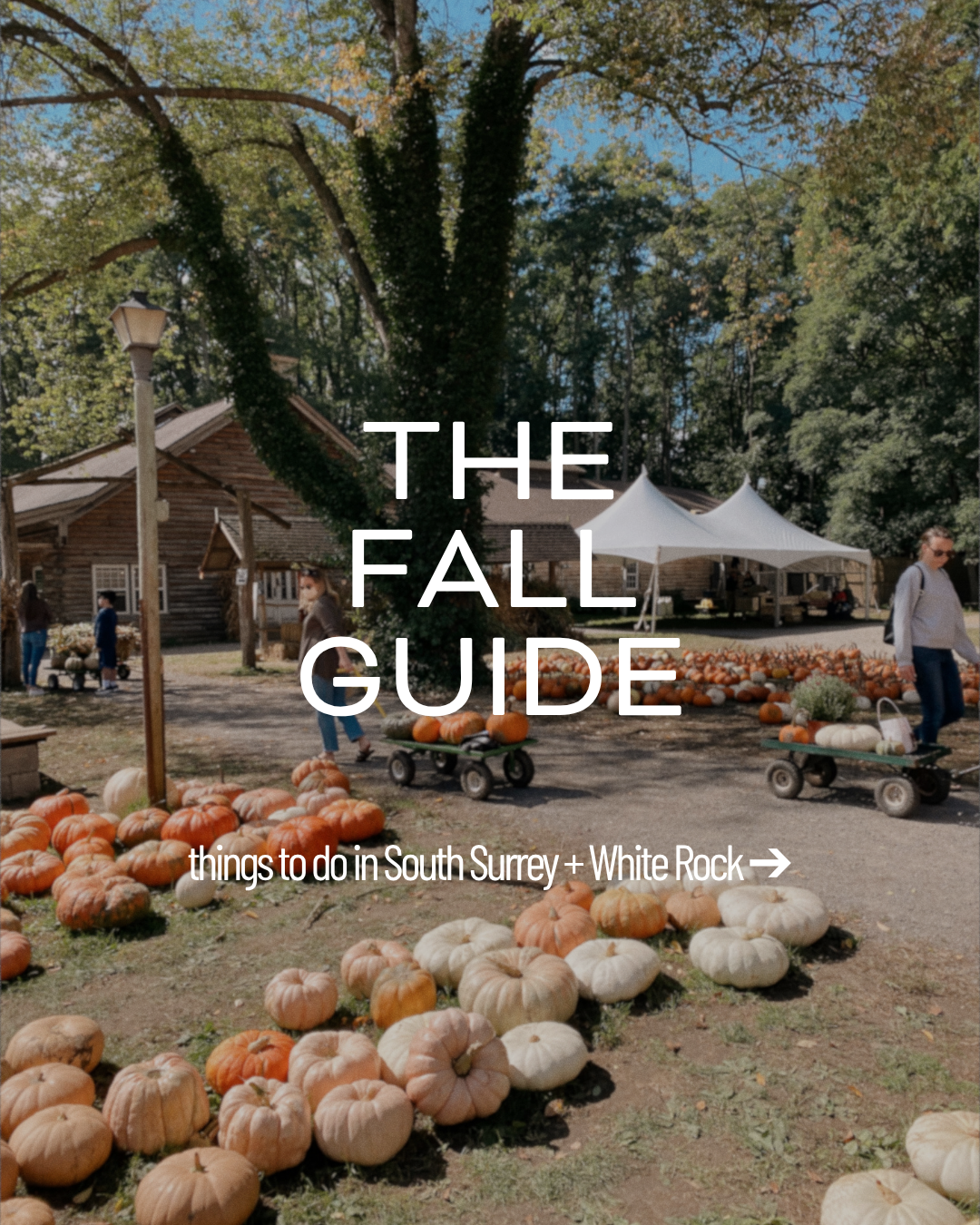 The Fall Guide to South Surrey + White Rock (Oct 2026)