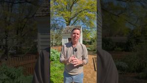 Video thumbnail for youtube video bws29y2hjjq