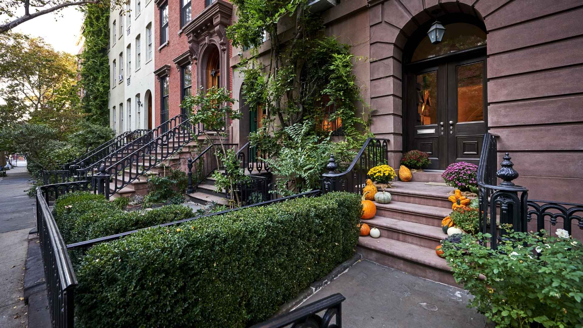 Bernard Barnes - Img(1)