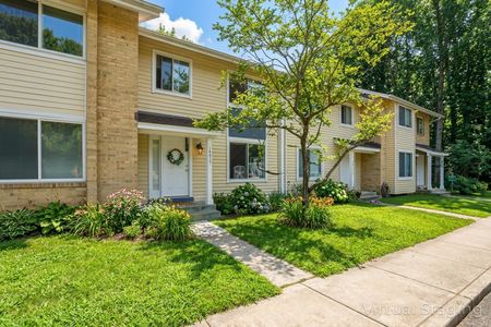 collov-ai_20260316224714_p0v2sx