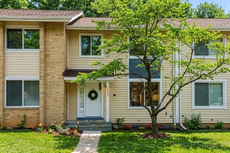 collov-ai_20260316224828_9kqd5u