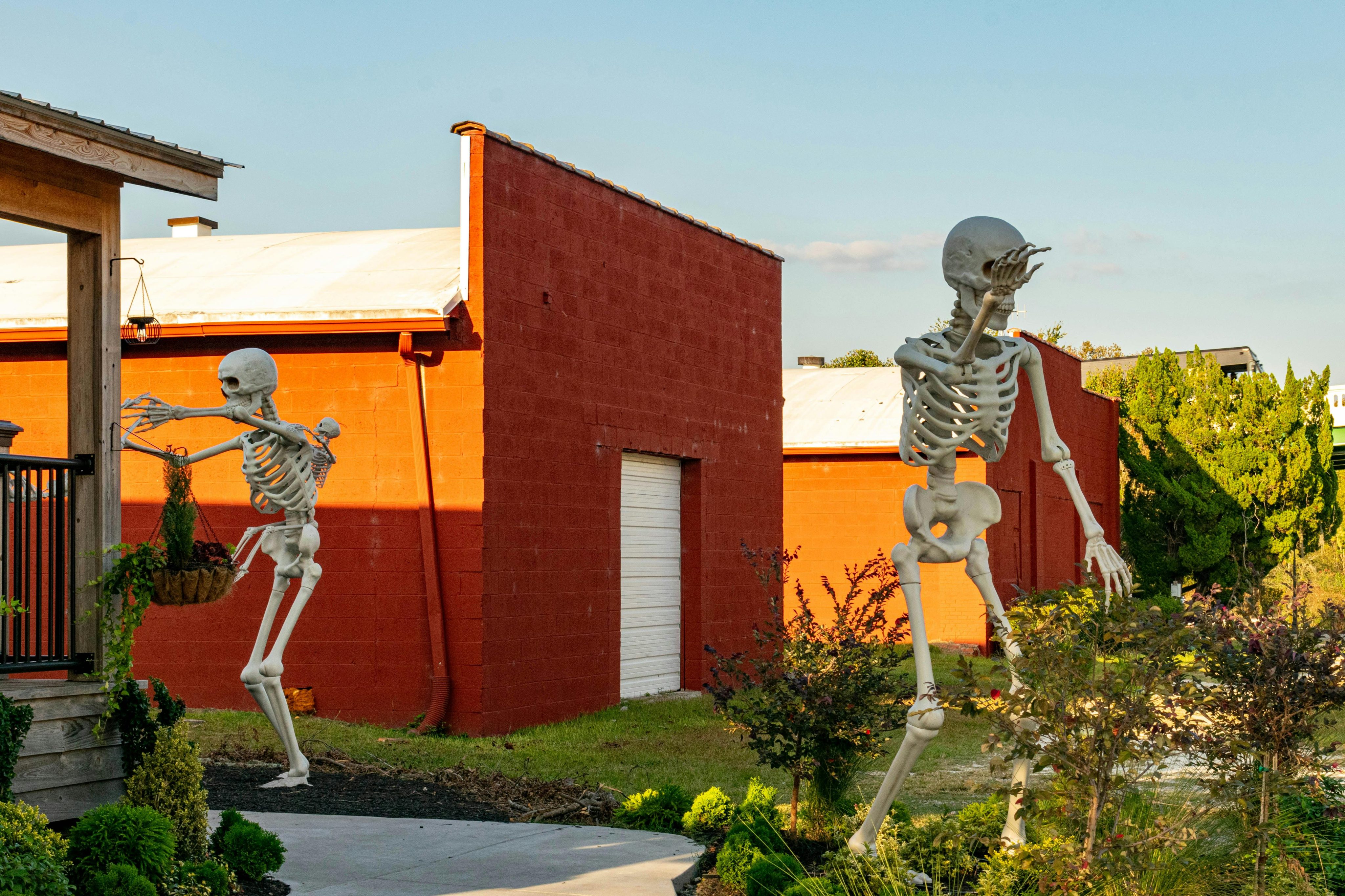 pexels-hilaryh-19071871