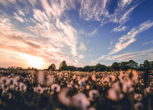 pexels-tombrand-1646178