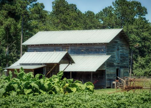 south-carolina-4066442