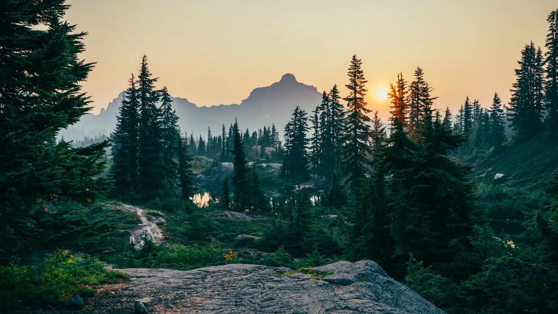 Bellevue