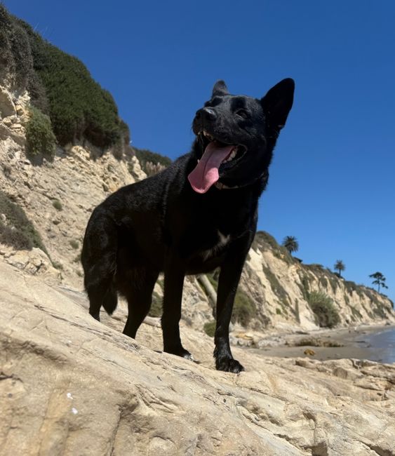 Optimized by JPEGmini 3.18.26.250256089-TBTBLNP 0x1f7d625b