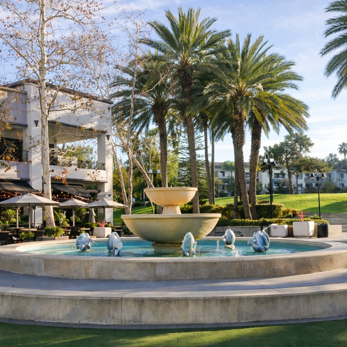 Which Schools Serve Aliso Viejo? (Public, Charter, and Private Options)