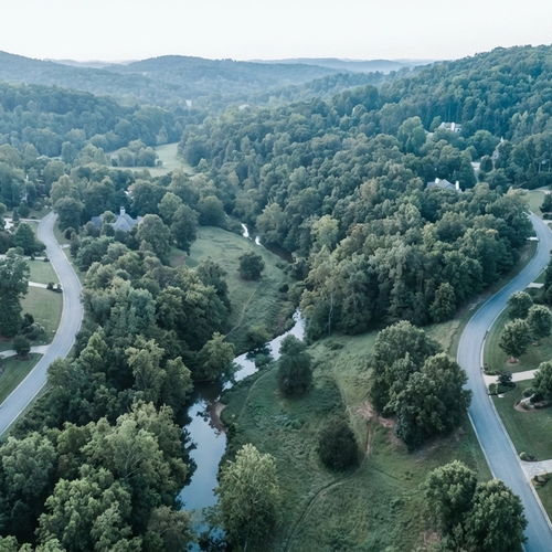 Mountain Brook Real Estate vs. Alabama Market: Why This Affluent Enclave Defies Every Trend