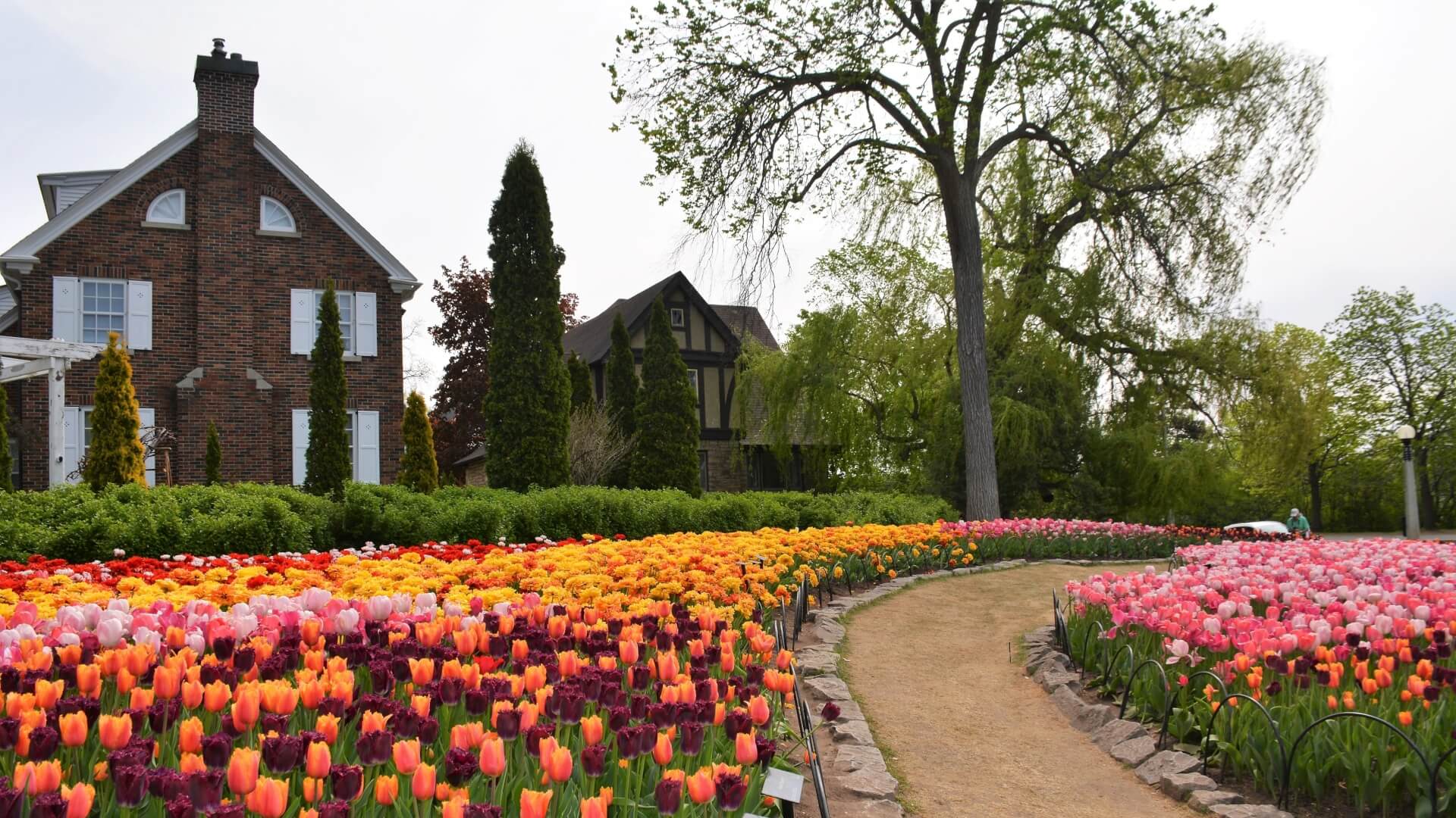 The main gardens of the Ottawa Tulip Festival are among the Glebe neighborhood.