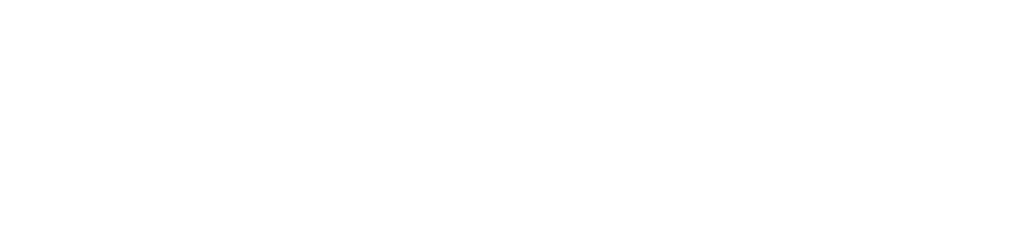 MPH Team Logo White