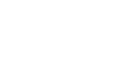platinum-properties-logo-white
