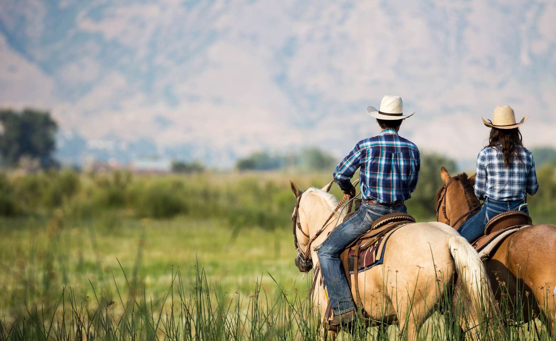 a couple horseback riding from behind overlooking wide open field