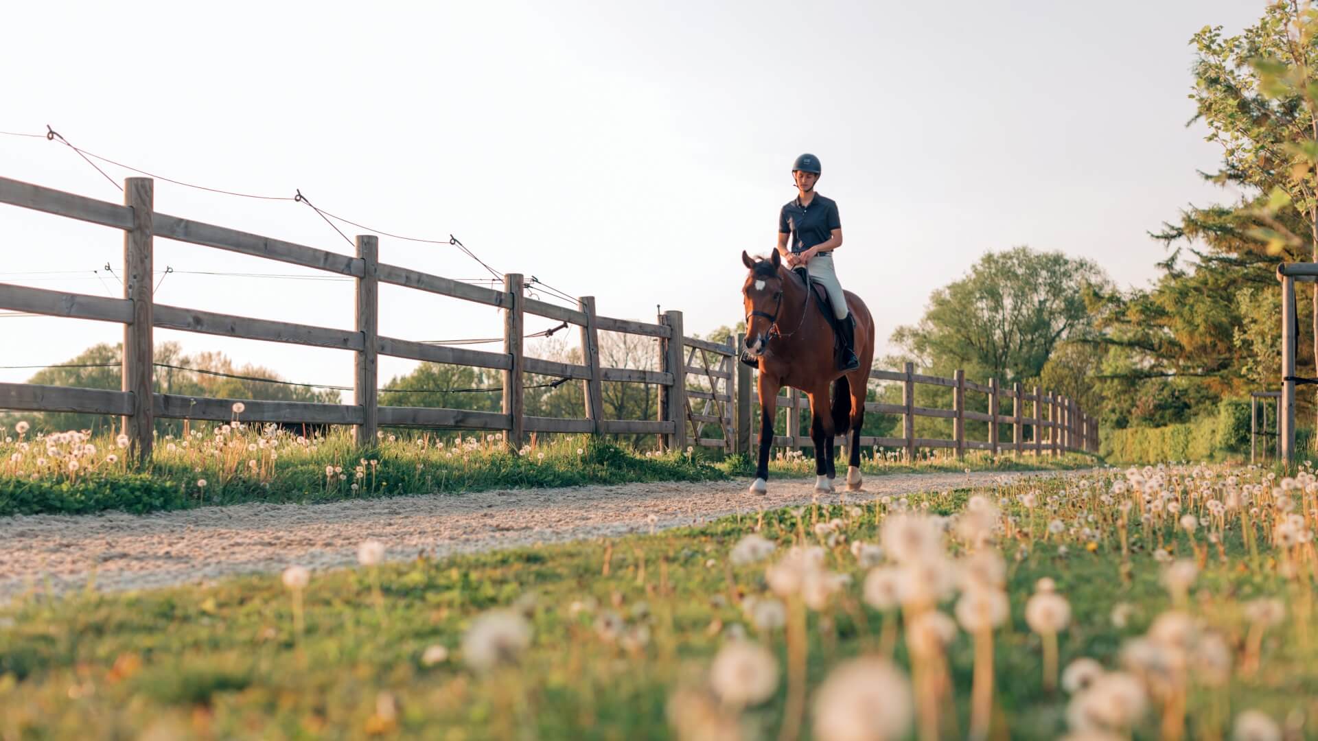 jockey woman rides her horse in the equestrian center