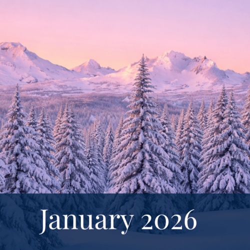 January 2026 Market Update