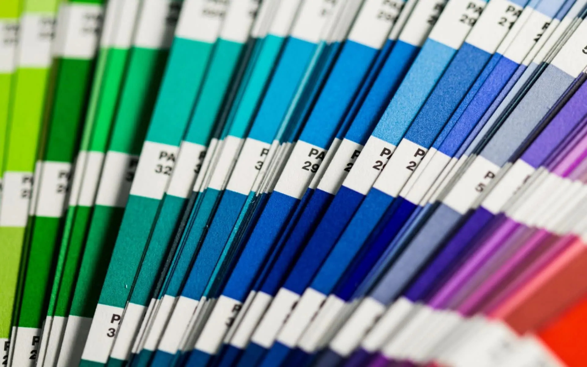 what-color-should-you-paint-each-room-in-your-home-before-selling