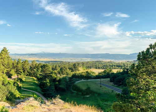 Castle pine - website