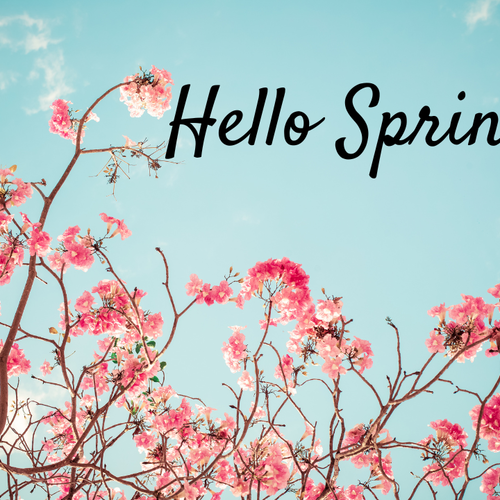 The Mile High Mystery: Why Denver’s 