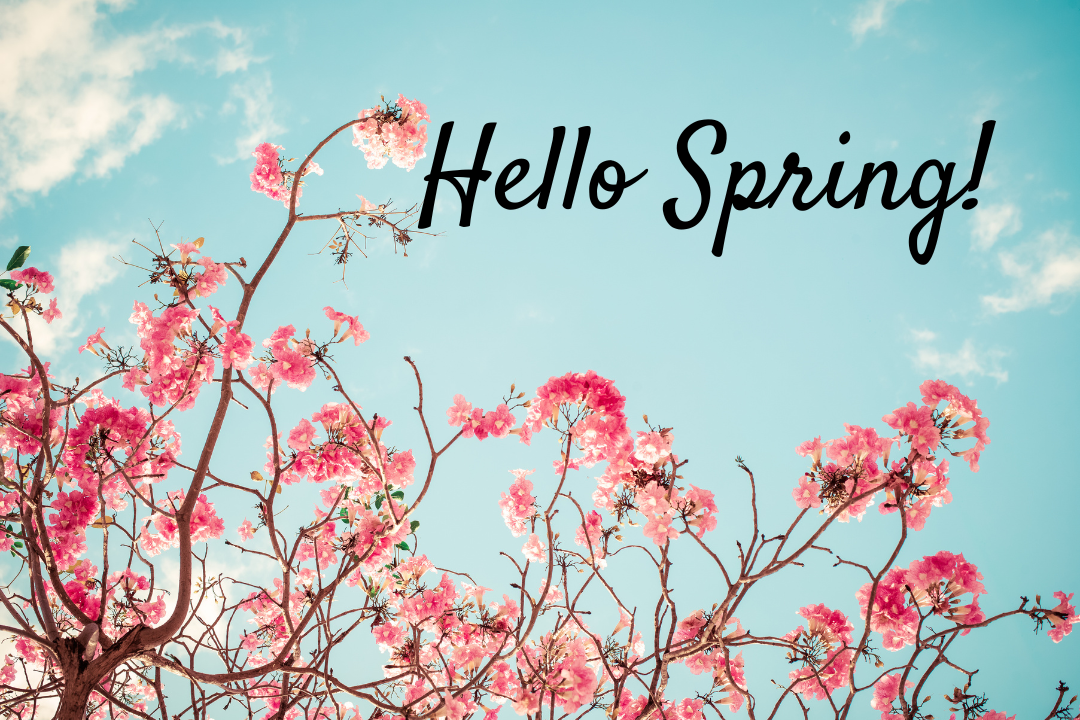 blogs (1080 x 720 px) (2)