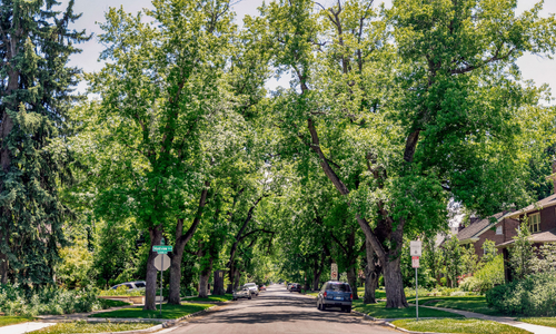 The Ultimate Guide to Park Hill, Denver: Vibe, Architecture & …