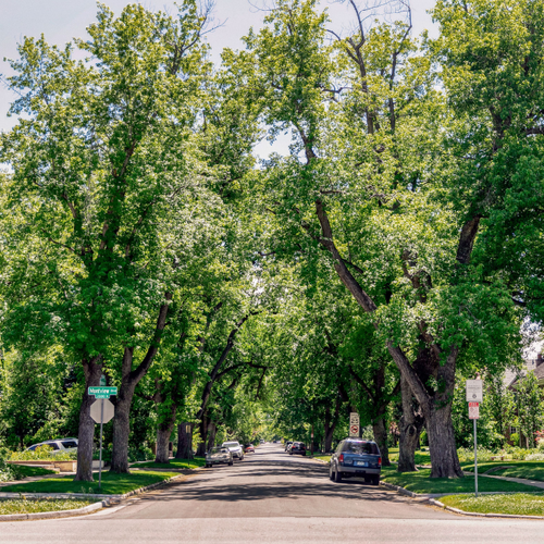The Ultimate Guide to Park Hill, Denver: Vibe, Architecture & Local Spots