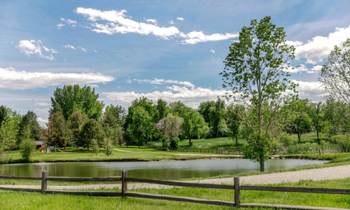 Living in Wellshire: Denver Neighborhood Guide & Real Estate