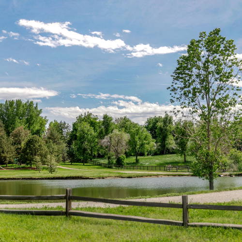 Living in Wellshire: Denver Neighborhood Guide & Real Estate