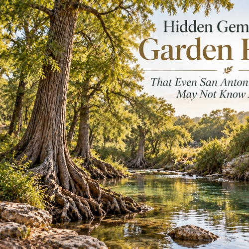Hidden Gems Near Garden Ridge That Even San Antonio Residents May Not Know About