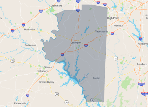 davidson county 1.png