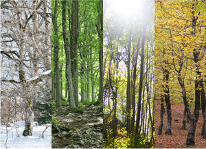 Your paragraph text (6)