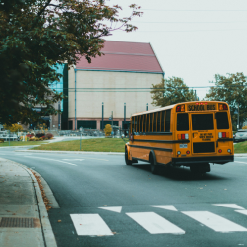 Kingston’s Elementary and Secondary School Guide