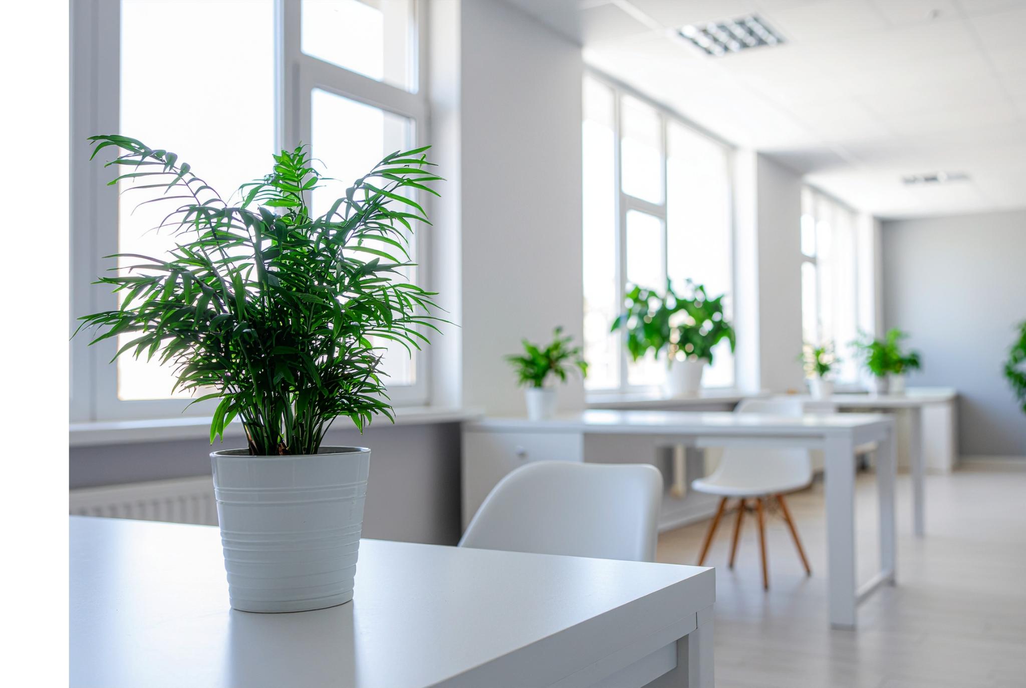 IG New ListingPrice (3)