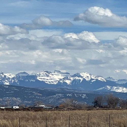 Montrose CO Real Estate: Agency vs Transaction Broker Explained