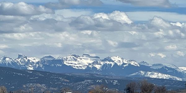 Montrose CO Real Estate: Agency vs Transaction Broker &hellip;