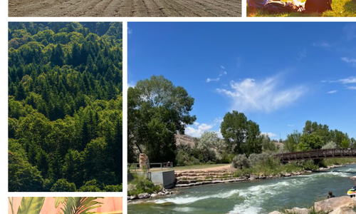 Summer in Montrose County: The Lifestyle that Makes …