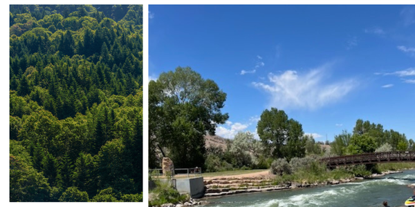 Summer in Montrose County: The Lifestyle that Makes &hellip;
