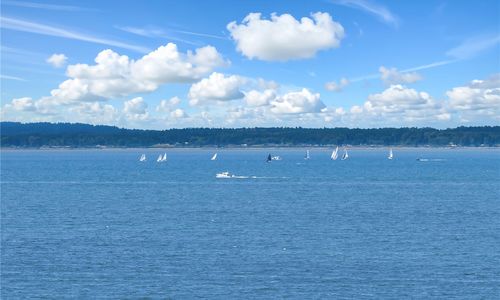 South Bellingham Real Estate Market Update