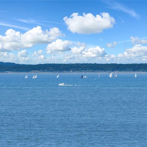 South Bellingham Real Estate Market Update